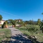 Casa Del Nonno Bingheri - L'olivo *