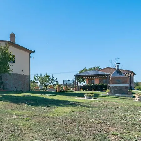 Casa Del Nonno Bingheri - L'olivo *