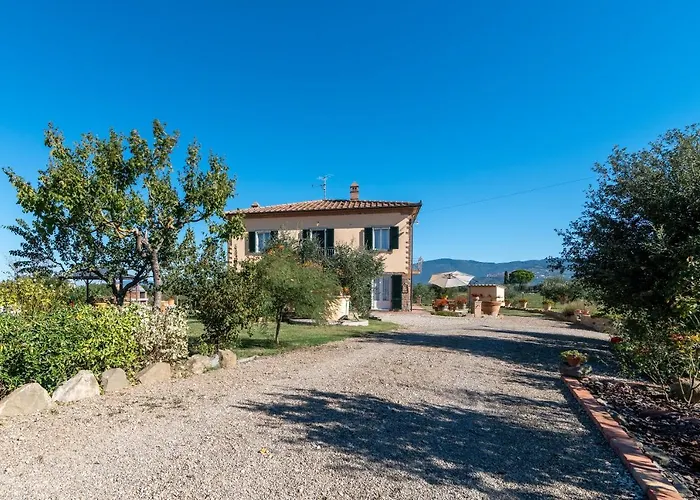 Casa Del Nonno Bingheri - L'olivo