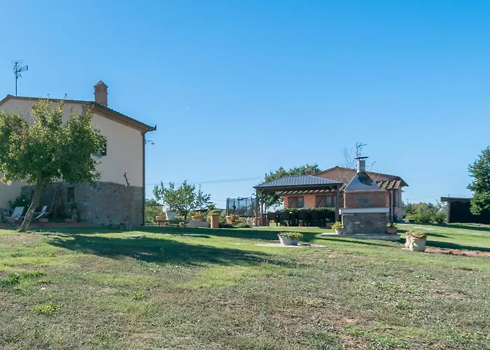 Casa Del Nonno Bingheri - L'olivo *