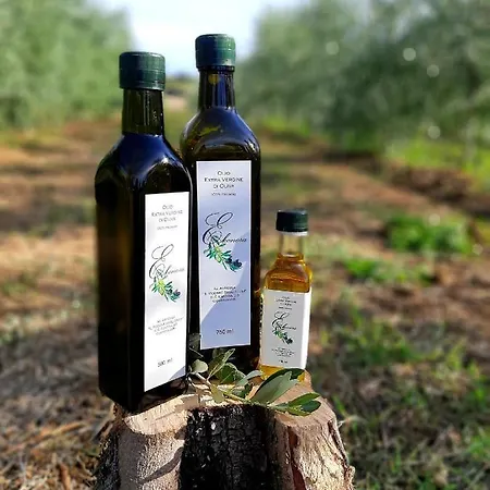 公寓 Casa Del Nonno Bingheri - L'olivo *