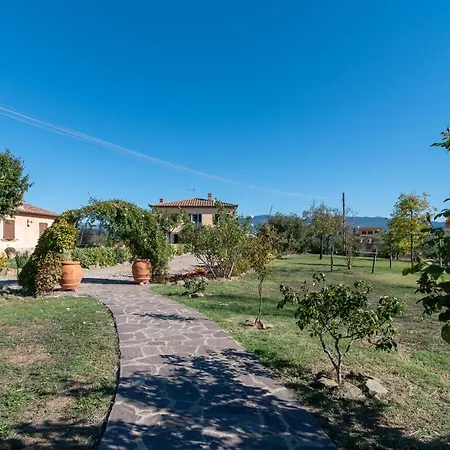 Casa Del Nonno Bingheri - L'olivo Apartment *
