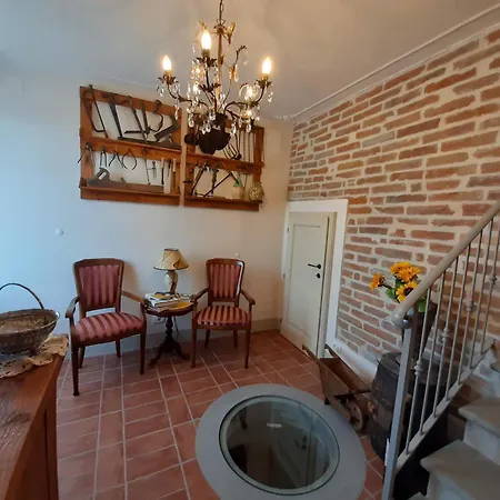 Casa Del Nonno Bingheri - L'olivo Apartment *