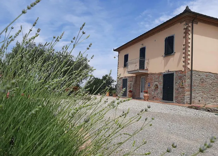 Apartament Casa Del Nonno Bingheri - L'olivo