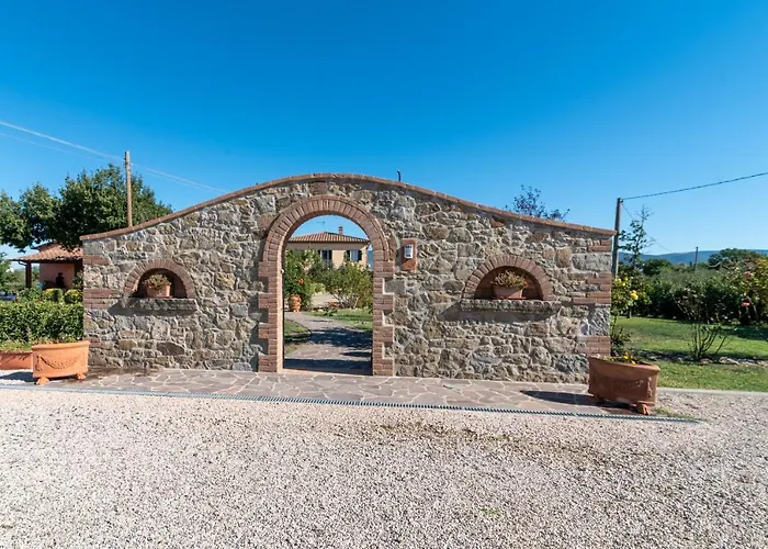 Casa Del Nonno Bingheri - L'olivo