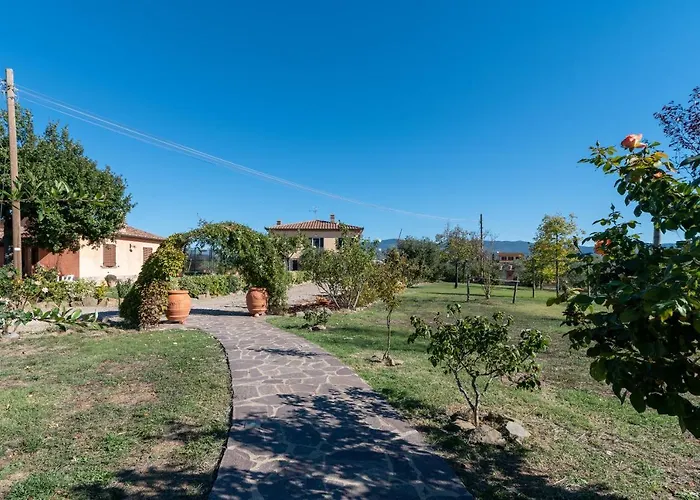 Casa Del Nonno Bingheri - L'olivo Apartment *