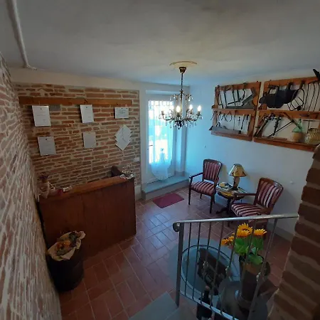 Casa Del Nonno Bingheri - L'olivo *