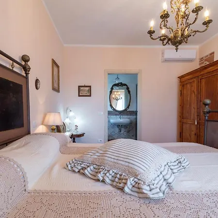 Casa Del Nonno Bingheri - L'olivo *