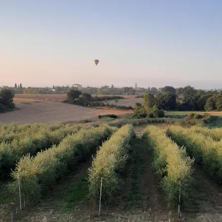 דירה Casa Del Nonno Bingheri - L'olivo קורטונה