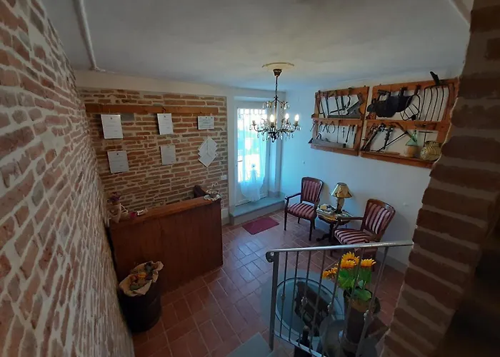 Casa Del Nonno Bingheri - L'olivo *