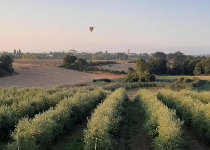 Appartamento Casa Del Nonno Bingheri - L'olivo Cortona
